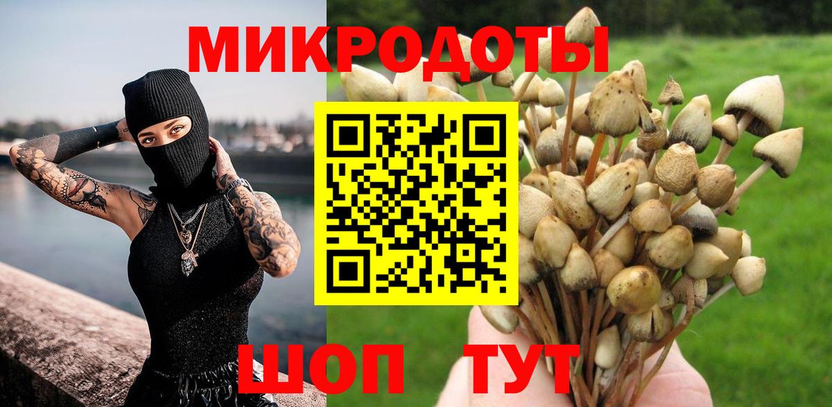 где продают наркотики  Галлюциногенные грибы Magic Shrooms  Бийск  Вход с VPN  Псилоцибиновые грибы ЛСД 
