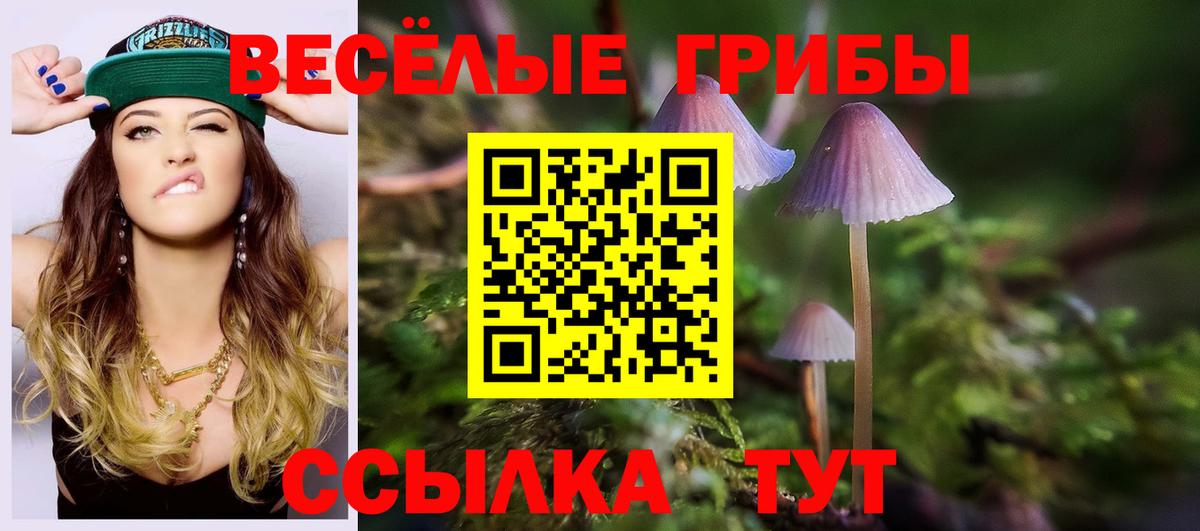 Галлюциногенные грибы мухоморы Бийск