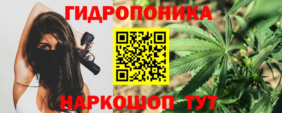 Бошки марихуана AK-47 Бийск